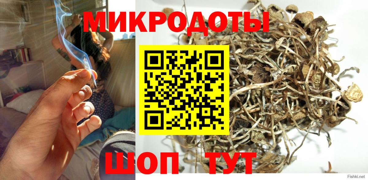Псилоцибиновые грибы Psilocybine cubensis Людиново