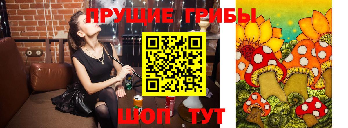 Псилоцибиновые грибы прущие грибы  Вход с VPN  Людиново  Галлюциногенные грибы прущие грибы 